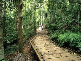 Butchers Creek QLD QLD Tourism