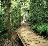 Lake Barrine Circuit Track Crater Lakes National Park - QLD Tourism