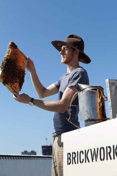 Brickworks Centre - QLD Tourism 10