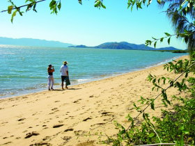 Bushland Beach QLD QLD Tourism