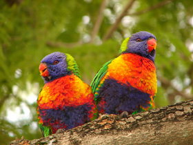 May Downs QLD QLD Tourism