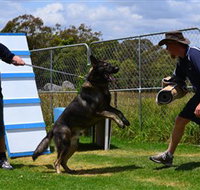 Lawdogs Australia - QLD Tourism