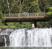 Malanda Falls Conservation Park - QLD Tourism