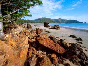 Diversity Boardwalk - Queensland Tourism 0
