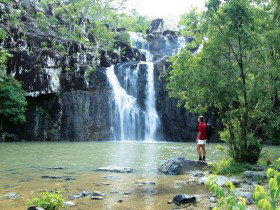 Conway National Park - QLD Tourism 0