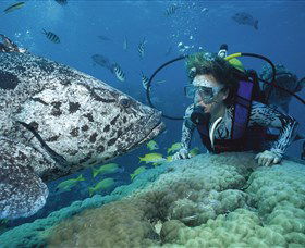 Pelorus Island - Queensland Tourism 0