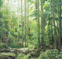 Python Rock - QLD Tourism