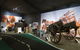 Transport And Main Roads Heritage Centre - thumb 0