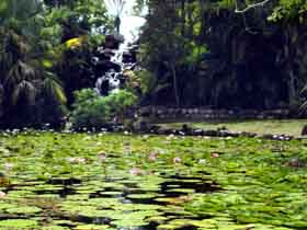 Queens Park Waterfall - QLD Tourism 0