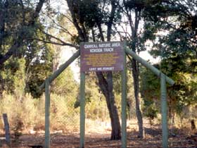 Carroll Nature Reserve Kokoda Track - QLD Tourism 0
