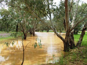 Saddliers Waterhole And Hamburg Creek - QLD Tourism 0