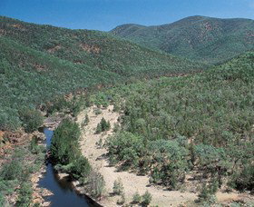 Sundown National Park - QLD Tourism 0