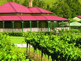 OReillys Canungra Valley Vineyards - QLD Tourism 0