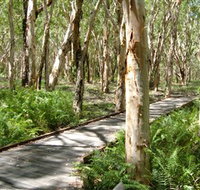 The Kommo Toera Trail - QLD Tourism