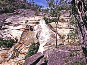 Emerald Creek Falls - QLD Tourism 0