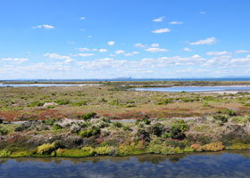 Point Cook Coastal Park - Queensland Tourism 0
