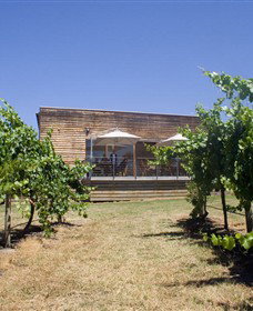 Shantell Vineyard - QLD Tourism 0