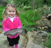 Wild Food Farm  Cafe - QLD Tourism