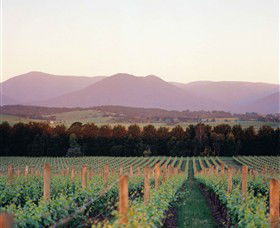 Domaine Chandon - Queensland Tourism 0