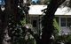 Melaleuca Gallery - thumb 0
