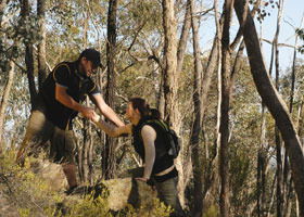 Greater Bendigo National Park - Queensland Tourism 0