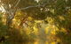 Brimbank Park - thumb 0