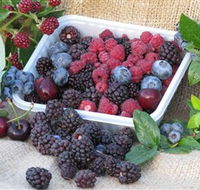 Bright Berry Farms - Queensland Tourism