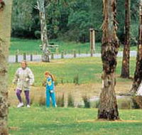 Westerfolds Park - Queensland Tourism