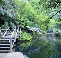 Alfred Nicholas Gardens - QLD Tourism