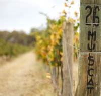 Stanton and Killeen Wines - Queensland Tourism