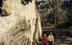 Castlemaine Diggings National Heritage Park - thumb 0