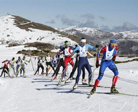 Bogong VIC QLD Tourism