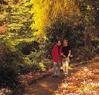 George Tindale Memorial Gardens - QLD Tourism