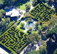 Ashcombe Maze  Lavender Gardens - QLD Tourism
