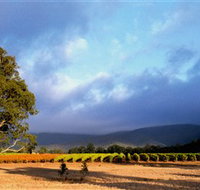 Mount Avoca - QLD Tourism