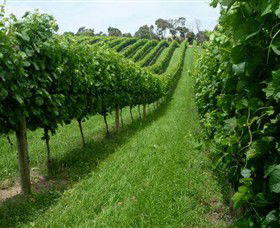 The Cups Estate - QLD Tourism 0