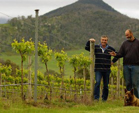 Grampians Estate - QLD Tourism 0