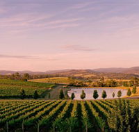 Oakridge Wines - Queensland Tourism