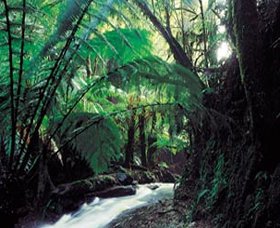 Lavers Hill VIC QLD Tourism