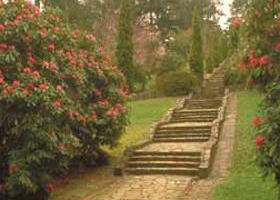 Maroondah Reservoir Park - QLD Tourism 0