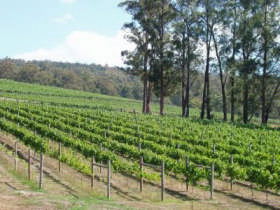 Tanjil Bren VIC QLD Tourism