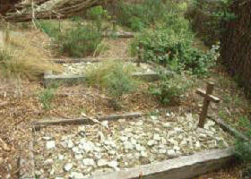 Collins Settlement Historic Site - Queensland Tourism 0