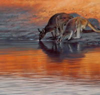 Steve Morvell Wildlife Art - Queensland Tourism