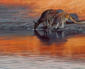 Steve Morvell Wildlife Art - QLD Tourism 0