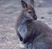 Churchill National Park - QLD Tourism