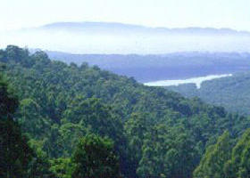  QLD Tourism