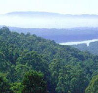 Kalorama Park - QLD Tourism
