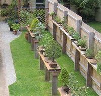 Bonsai Island - QLD Tourism