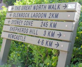 Great North Walk - QLD Tourism 0