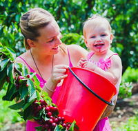 Cherryhill Orchards - Queensland Tourism